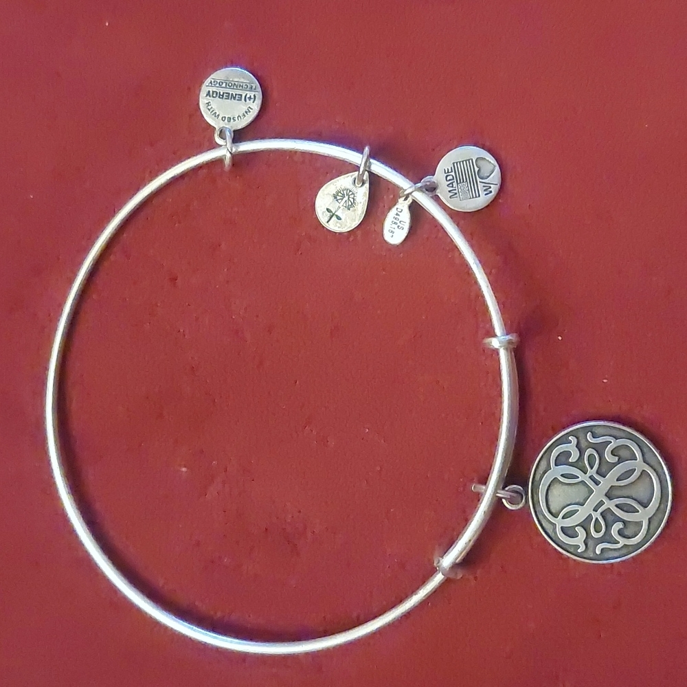 Alex and Ani Energy Infinity Charm Bracelet, 2012